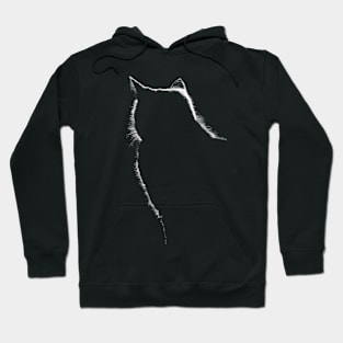 Cat on counter day Hoodie